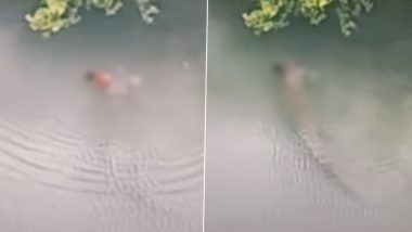 Disturbing Video: Baby Boy Eaten Alive by Crocodile in Front of Father During Fishing in Malaysia, Heart-Wrenching Visuals Go Viral